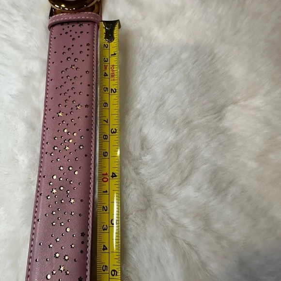 Salvatore Ferragamo Pink and Gold Designer Belt-100% authentic-brand new - Picture 10 of 12